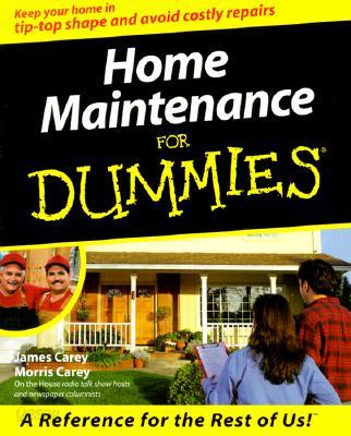 Home Maintenance for Dummies