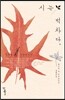 시는 벅차다