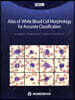 Atlas of White Blood Cell Morphology for Accurate Classification