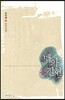 백아절현