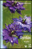 Understanding Syntax