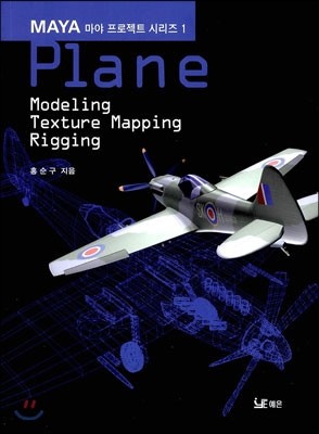 Plane Modeling Texture Mapping Rigging