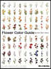 플라워 컬러 가이드 Flower Color Guide