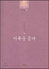 미륵을 묻다