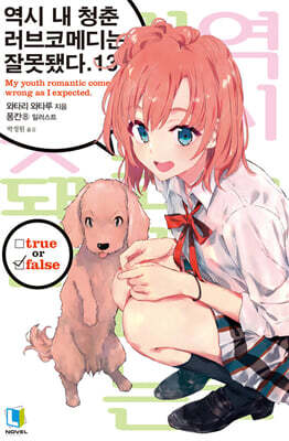 역시 내 청춘 러브코메디는 잘못됐다 13권