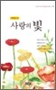 사랑의 빛