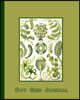 Dot grid journal: Ernst Haekel's Kunstformen der Natur - Artform of nature (1904) geometric shapes and natural forms cover art for the v