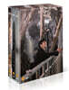 봄밤 (MBC 일반판, 6Disc) : DVD