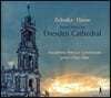 Javier Ulises Illan 젤렌카 / 하세: 드레스덴 대성당의 음악 (Zelenka / Hasse: Sacred Music For Dresden Cathedral)