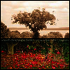 Dave Douglas Quintet - Be Still (Download Card)(180G)(LP)