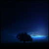 Haarp - Husks (LP)