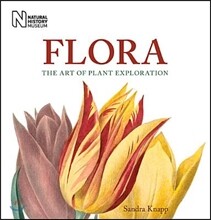 [염가한정판매] Flora