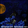 Mountain Goats - Transcendental Youth (LP)