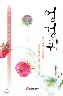 엉겅퀴