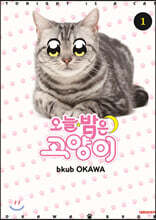 오늘 밤은 고양이 1