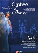 Dmitry Korchak 글룩: 오페라 '오르페와 유리디스' [프랑스 버전] (Gluck: Orphee et Eurydice)