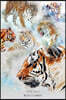 Wild Tigers Weekly Planner: 6x9 Undated Weekly Two Year Organizer & Academic Diary Notebook with Tiger Illustration Cover Design