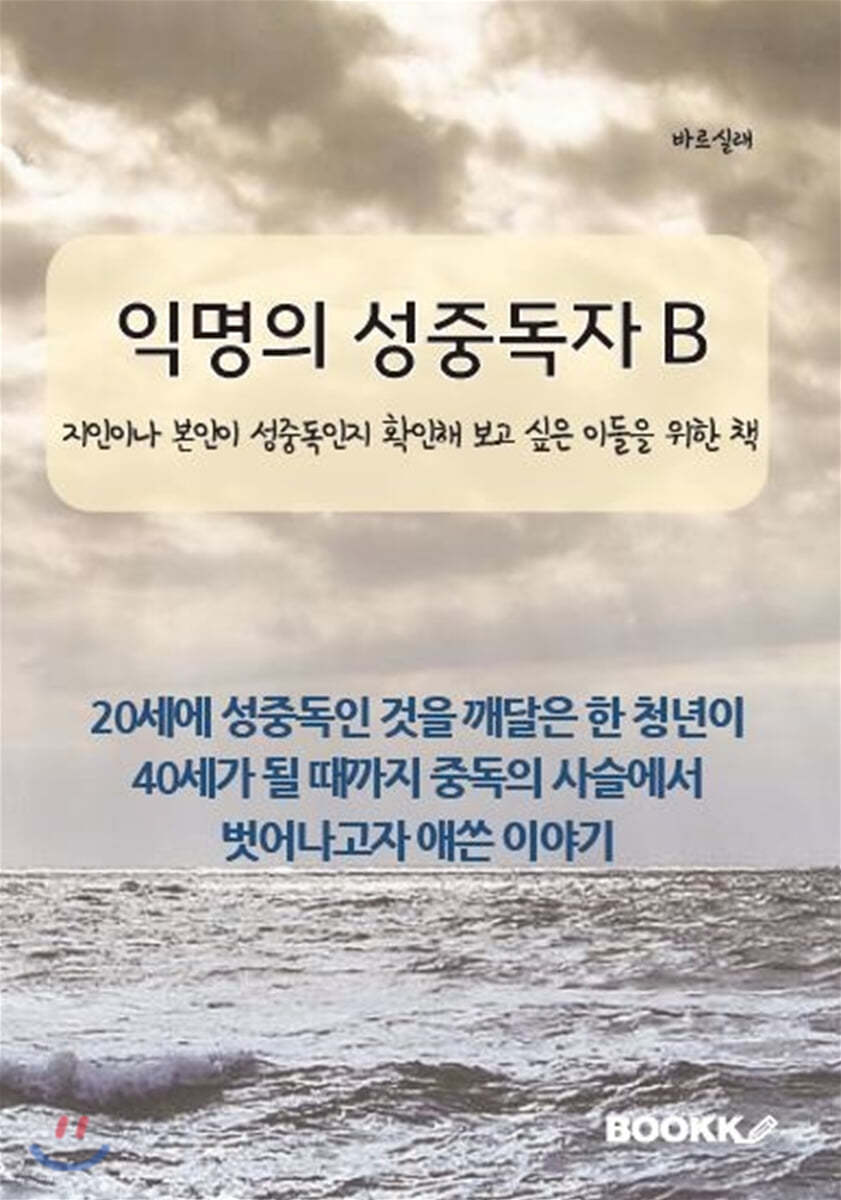 익명의 성중독자 B