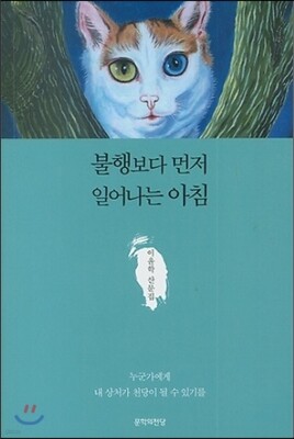 불행보다 먼저 일어나는 아침