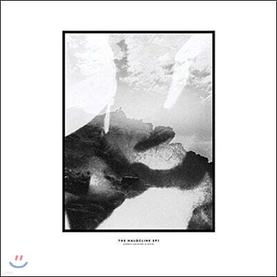 Hippo Campus (히포 캠퍼스) - The Halocline EPs