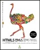 HTML5 캔버스 완벽 가이드