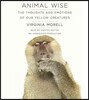 Animal Wise
