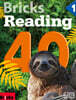 Bricks Reading 40 1