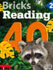 Bricks Reading 40 2