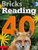 Bricks Reading 40 3