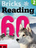 Bricks Reading 60 2
