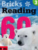 Bricks Reading 60 3