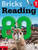 Bricks Reading 80 1