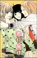 君に屆け 18