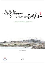 눈물 속에서 자라난 평화