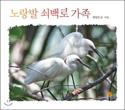 노랑발 쇠백로 가족