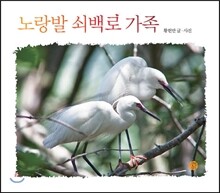 노랑발 쇠백로 가족