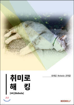 취미로 해킹#4(Nebula)