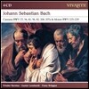 Frieder Bernius / Gustav Leonhardt / Frans Bruggen 바흐: 칸타타, 모테트 (JS Bach: Cantatas & Motets) 4CD