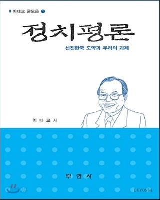 정치평론