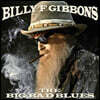 Billy F. Gibbons (빌리 기본스) - Big Bad Blues