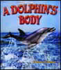 A Dolphin's Body