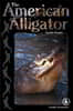 The American Alligator