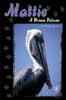 Mattie: A Brown Pelican