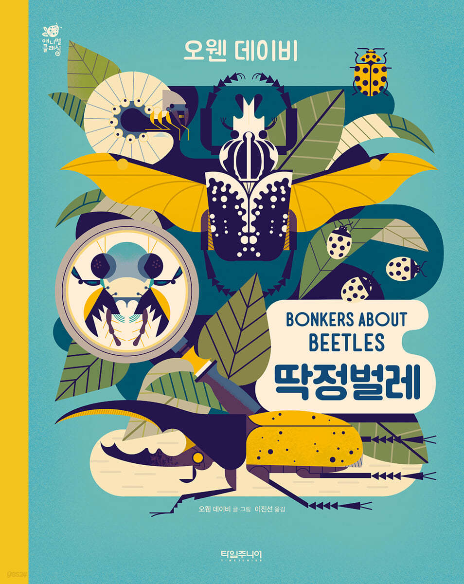 딱정벌레 BONKERS ABOUT BEETLES 