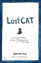 Lost Cat