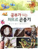 공부가 되는 파브르 곤충기