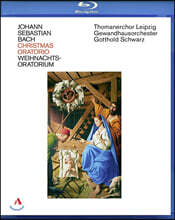 Gotthold Schwarz 바흐: 크리스마스 오라토리오 BWV248 (Bach: Christmas Oratorio)
