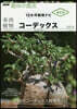 多肉植物 コ-デックス