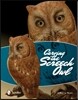 Carving the Screech Owl