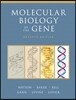 Molecular Biology of the Gene